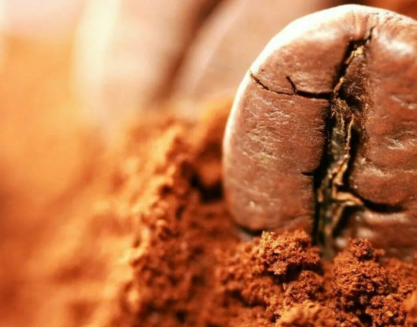 5 Pounds Coffee Whole Bean